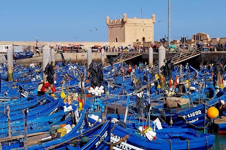 Private Day Tour to Essaouira from Marrakech