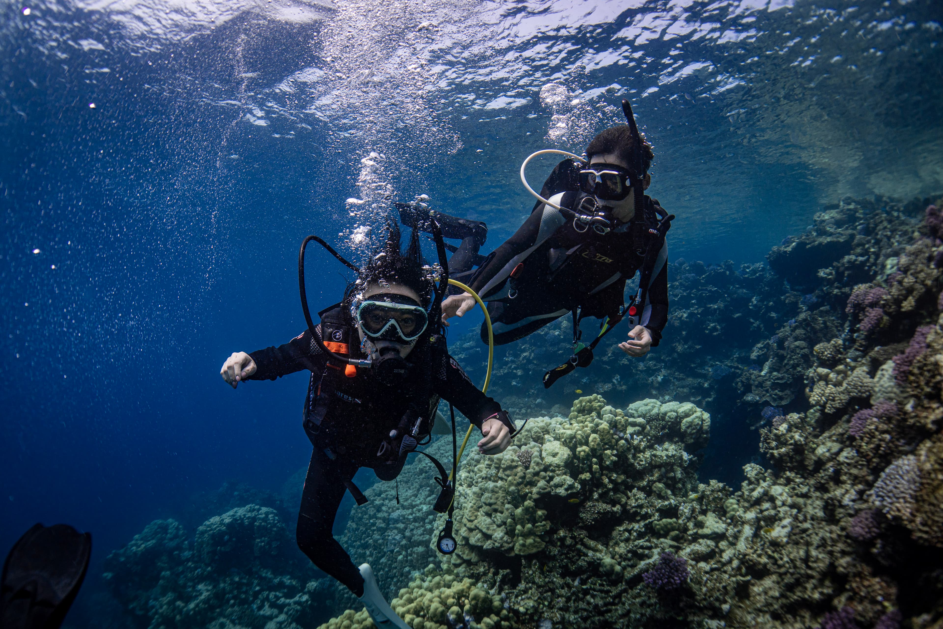 [Certified Only] Scuba Diving Boat Trip
