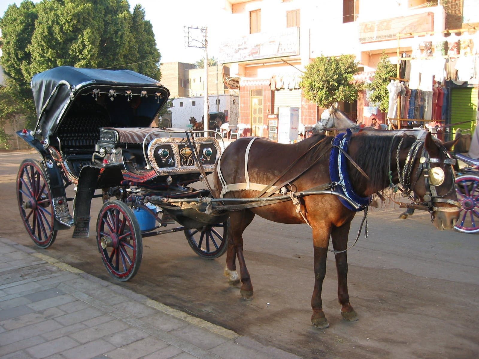 Delight in a 3-Hour Luxor Horse Carriage Tour