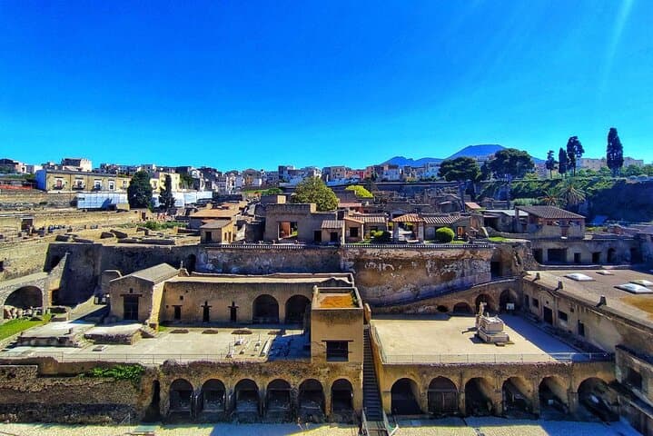 Skip the line Ticket Herculaneum Guided Tour 4 hrs 