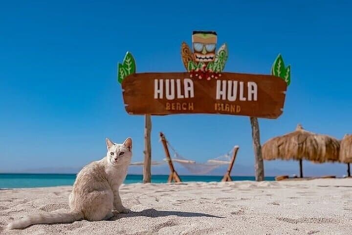 Hula Hula Island Snorkeling & Sailing Trip with Lunch – Hurghada