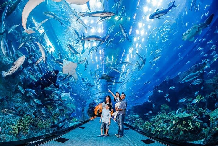 Dubai Underwater Zoo and Aquarium with Penguin Cove