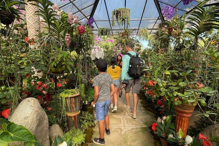 Puerto Vallarta Botanical Gardens Hiking Tour