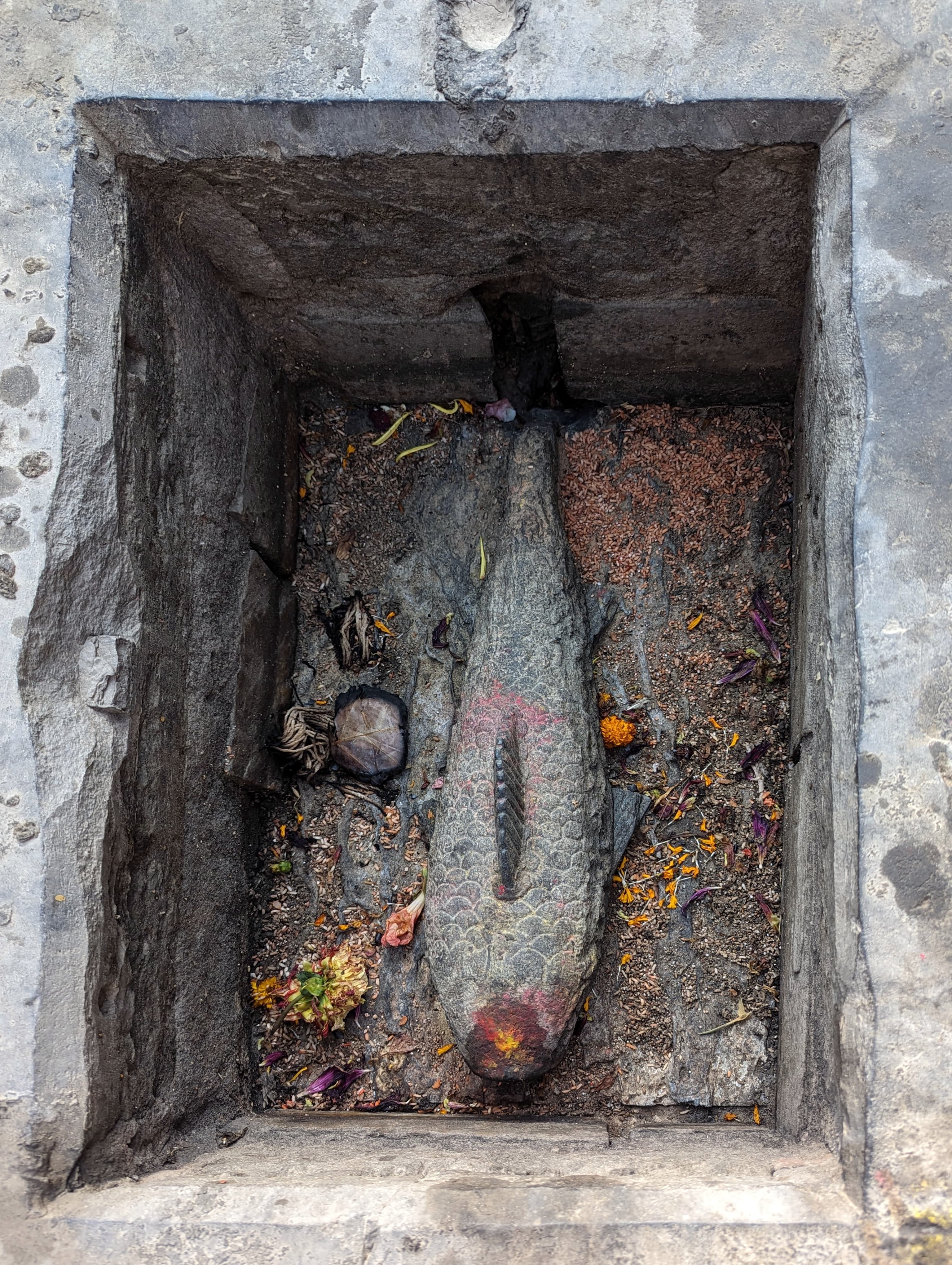 From Bazaar to Hippie Hub: Ason & Freak Street Tour 