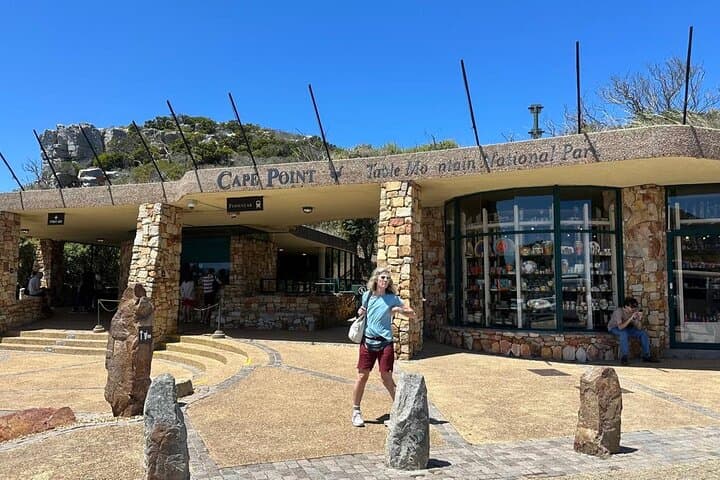 Half Day Penguins and Cape Point Small Group Tour