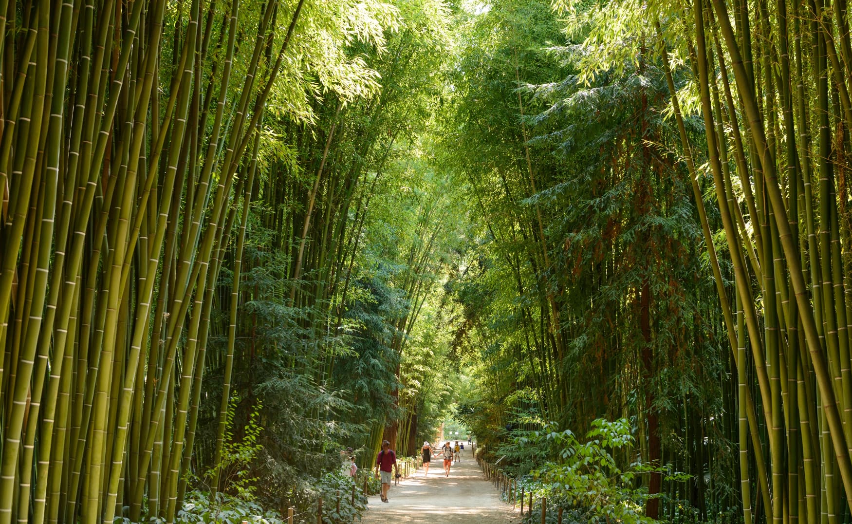 Guided Cycling Tour France