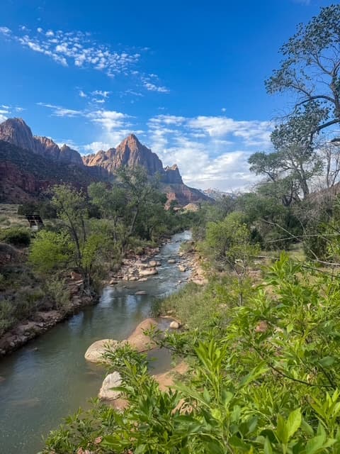 Half Day Hiking Zion National Park - Small Group Tour