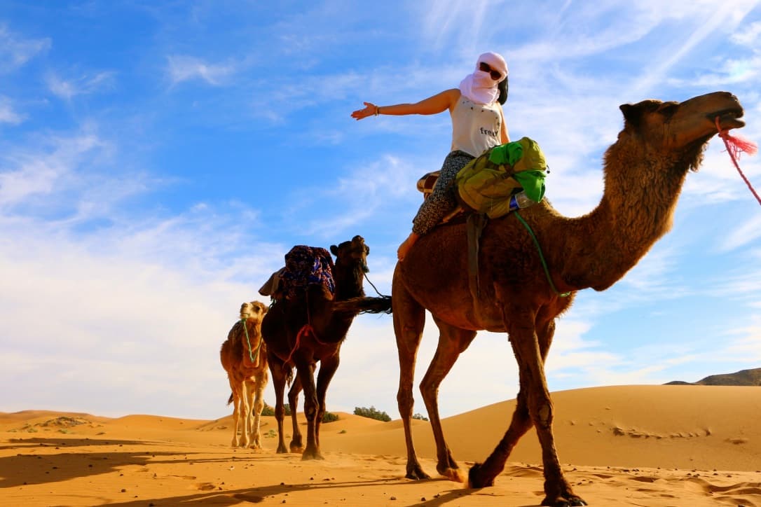 From Ouarzazate: Private day trip to Zagora visiting the Draa valley, camel ride and lunch at a local family