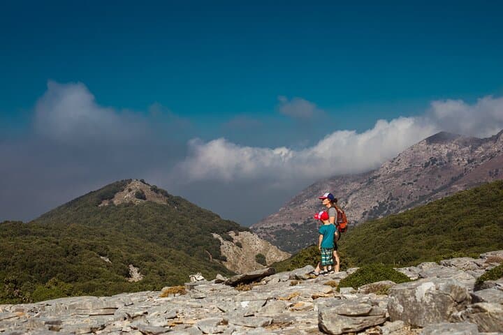 Randi's Forrest & Seychelles
