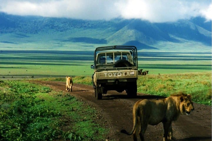 12 DAYS, 11 NIGHTS WONDERS OF KENYA AND TANZANIA BUDGET CAMPING SAFARI