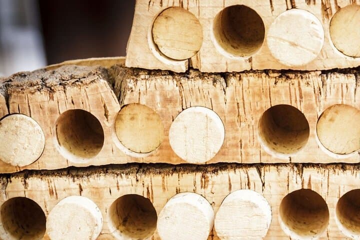 From Lisbon: A Day of Wine Tasting and Cork Crafting in Évora