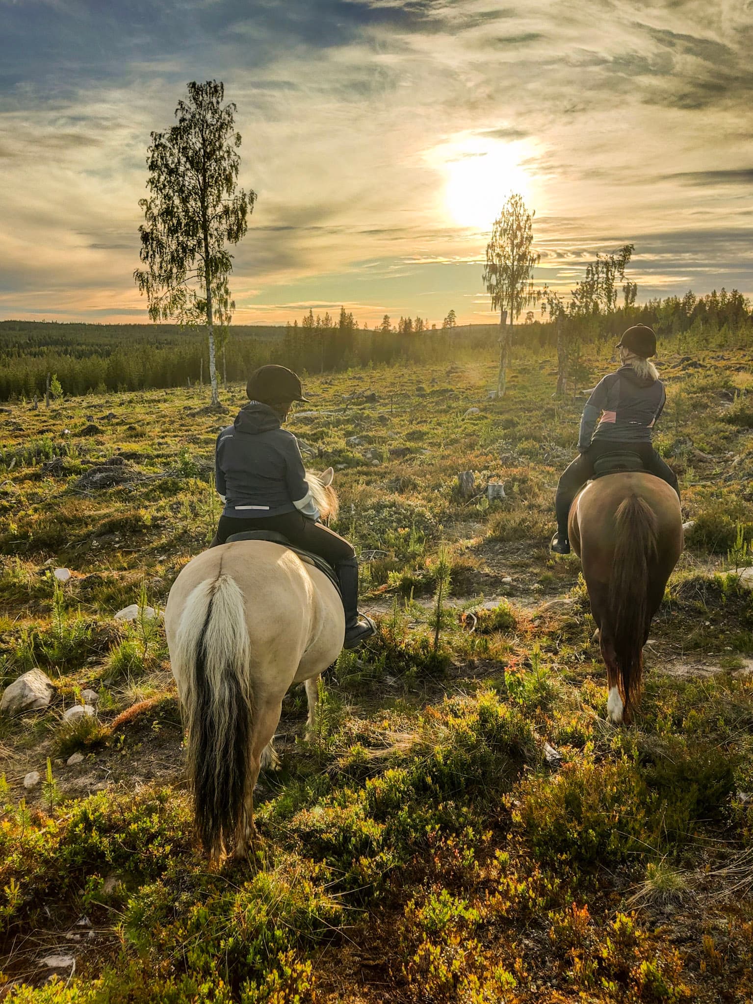Horse ride to the hill