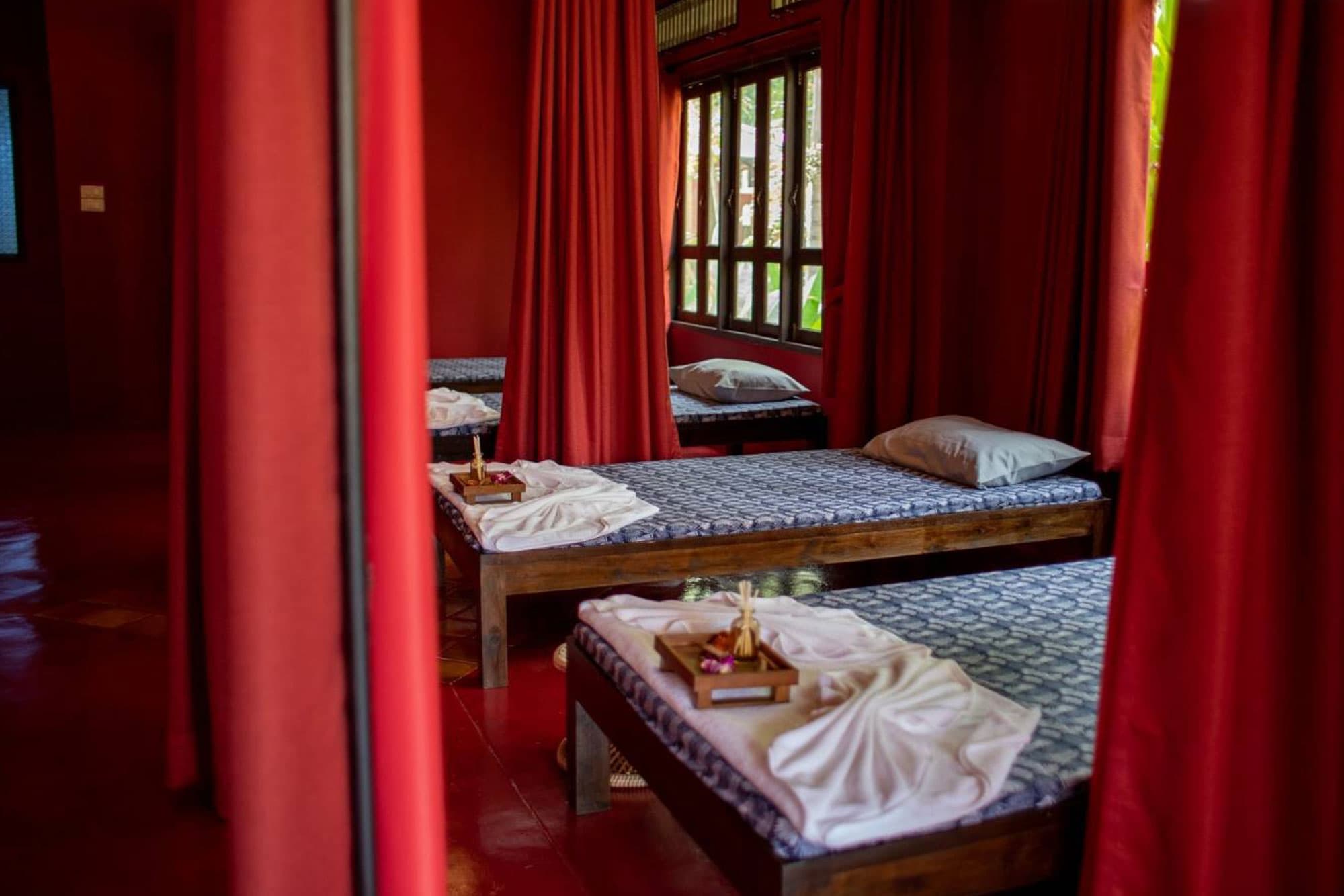 Forest Wellness Hike and Massage