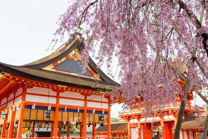 Full Kyoto Magical Experience 1 Day Tour