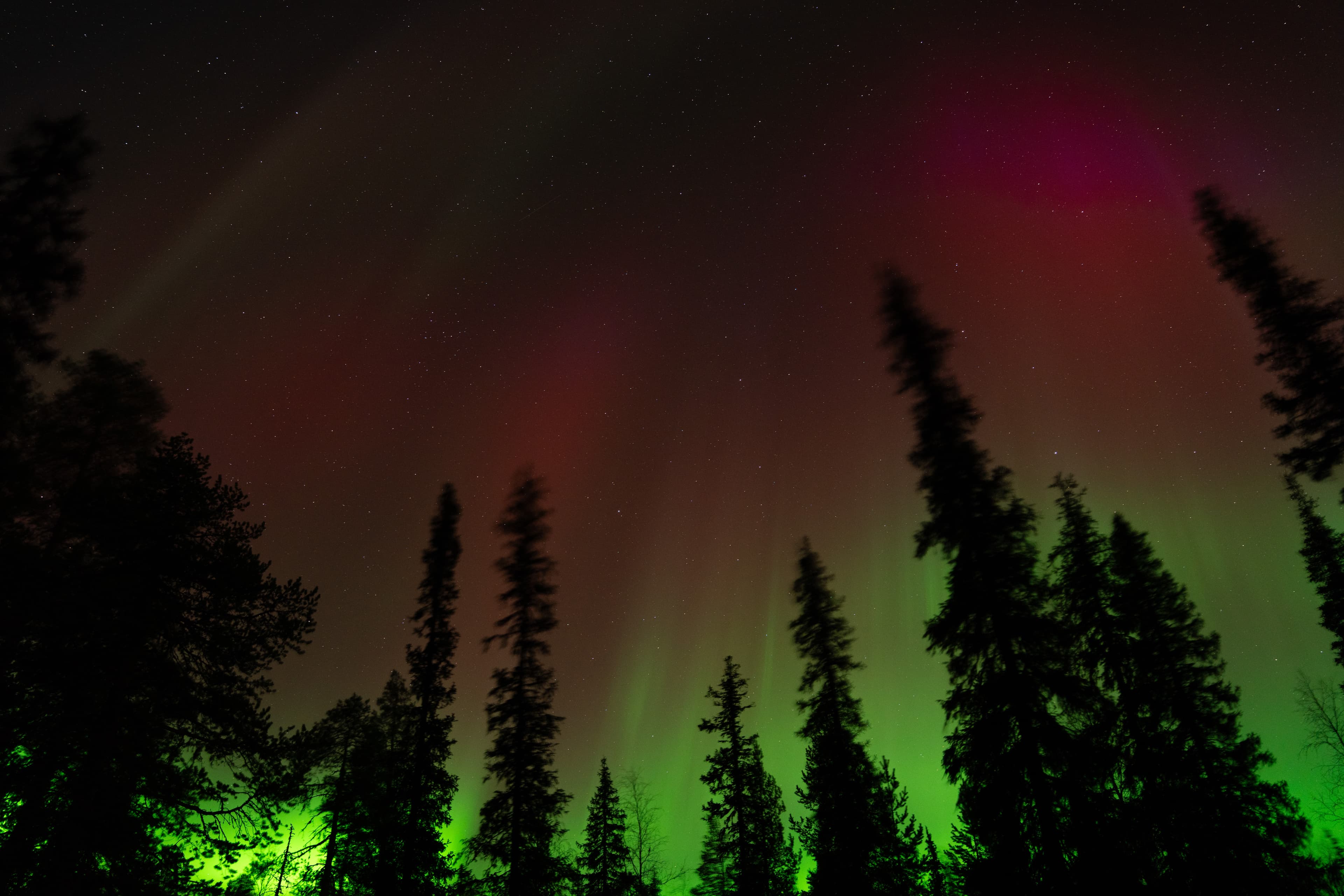 Private - Northern Lights Hunt in Levi 