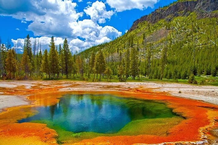 2-Day Private Yellowstone Tour(Lower and Upper Loops w Iconic Sites) w Lunch
