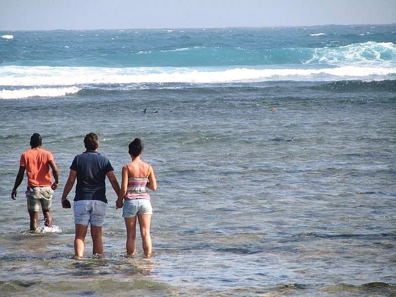 Shark bay and Salt Lakes 