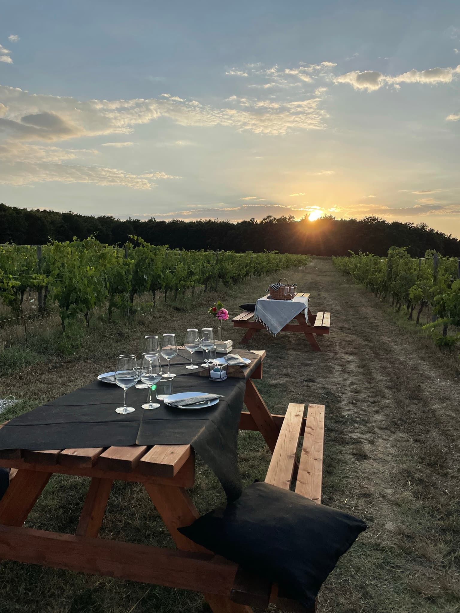 Tuscan dinner in the vineyard