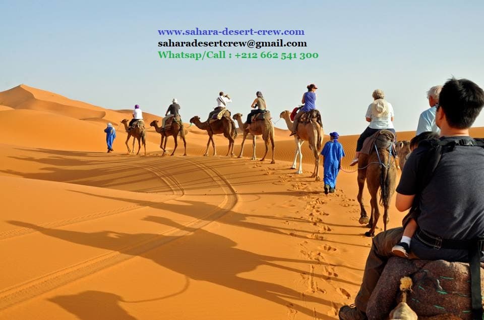 3 days trip Starting from Fez ending in Marrakech via Merzouga Desert