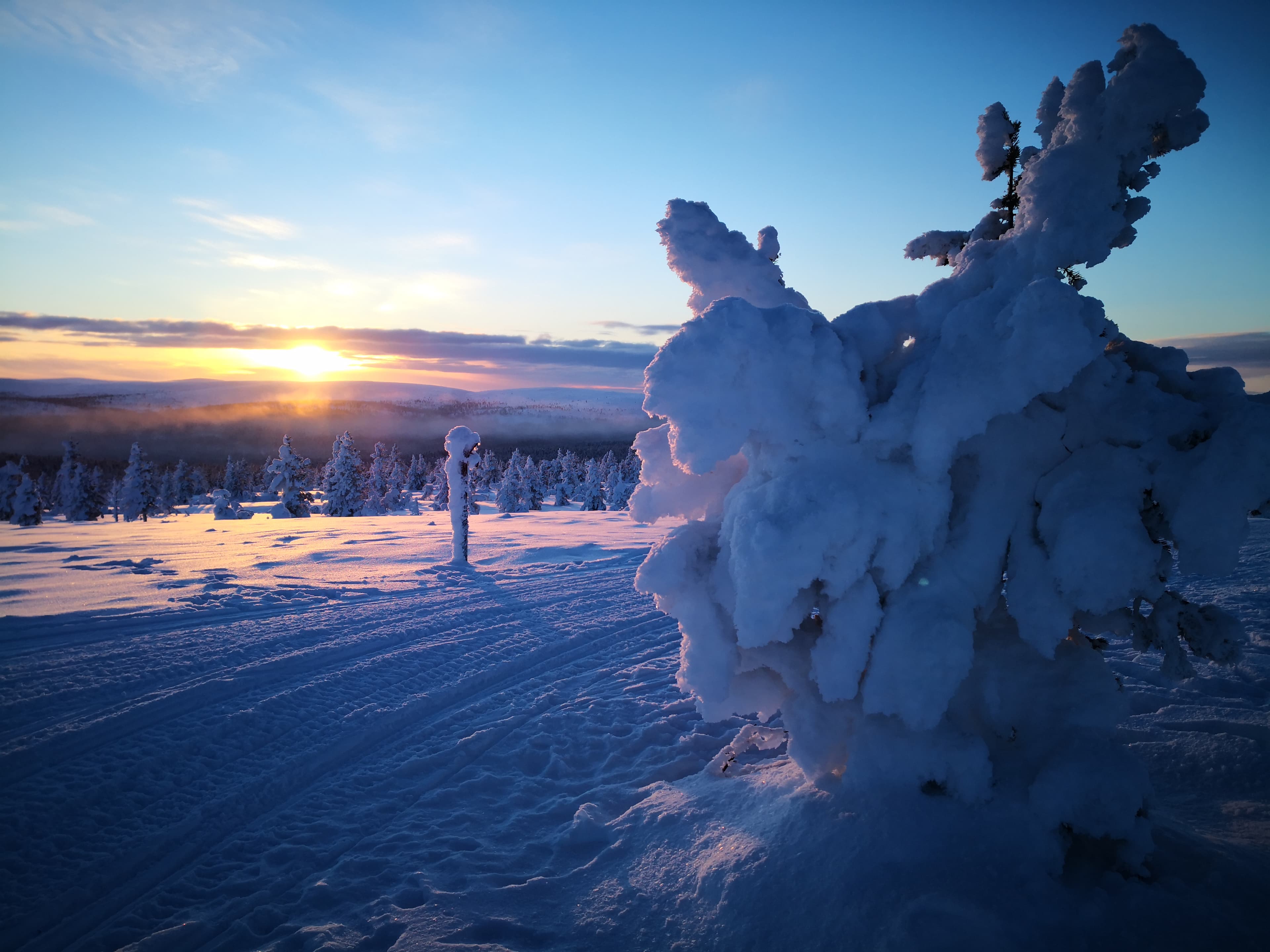 THE FELL SAFARI TO SAARISELKÄ BY SNOWMOBILE