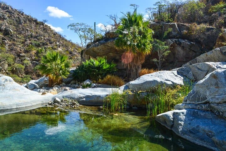 Los Cabos: Hiking at the Fox Canyon