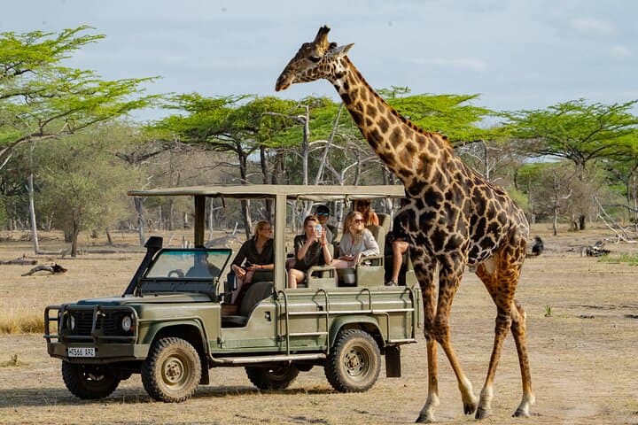 2 Day Nyerere National Park Wildlife Safari from Zanzibar