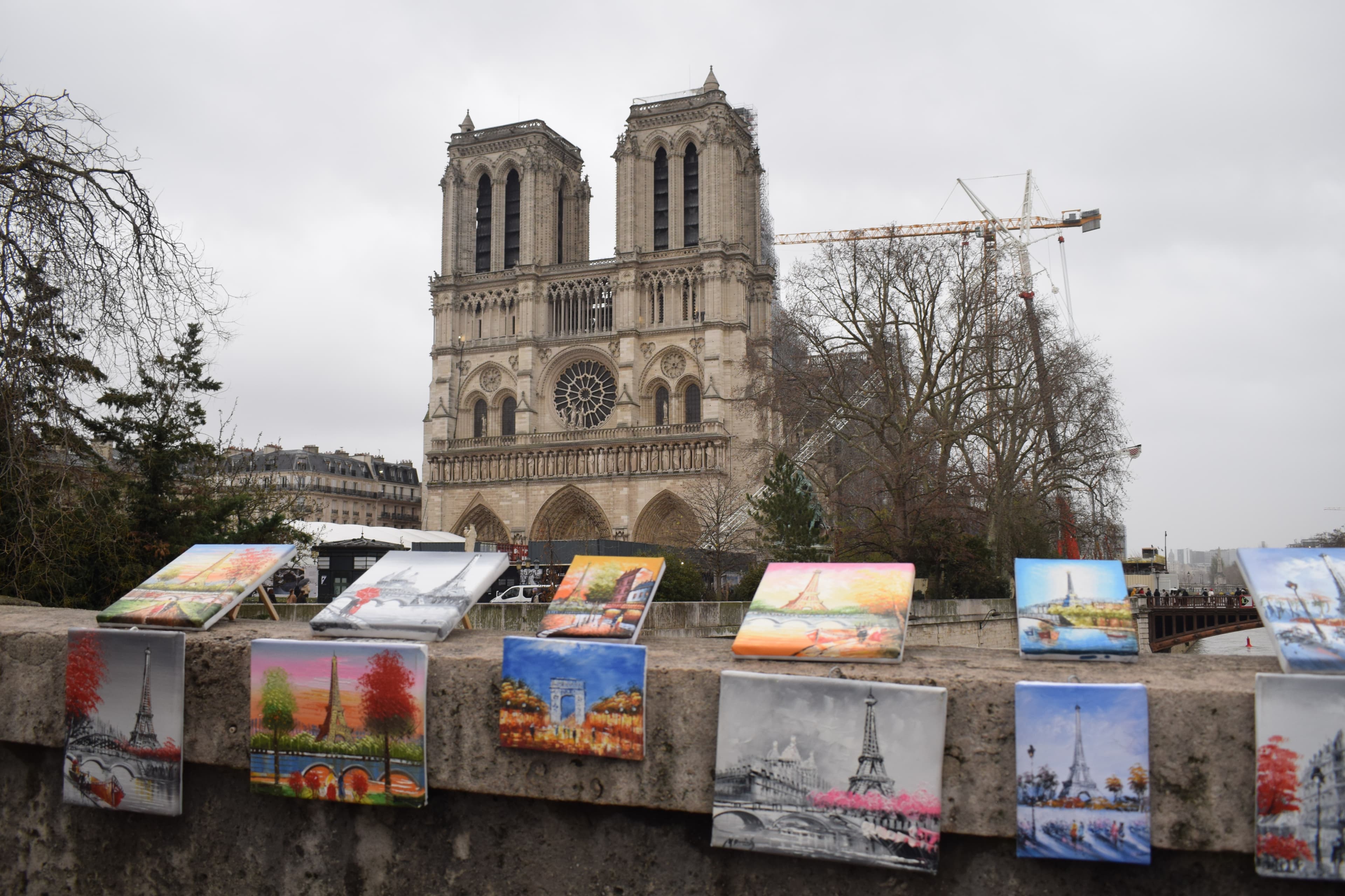 Paris: Notre-Dame Cathedral interior and Ile-de-la-Cité guided tour with River Cruise option