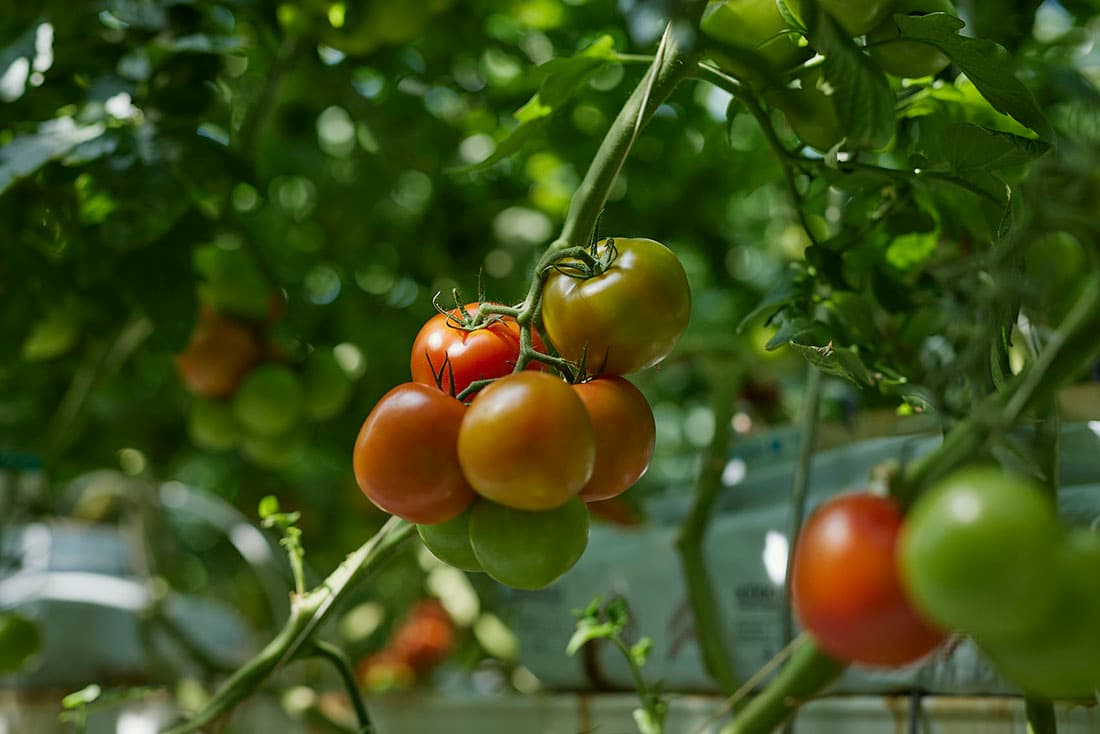 7 Days Iceland Eclipse Elite: South Iceland & Blue Lagoon Stay