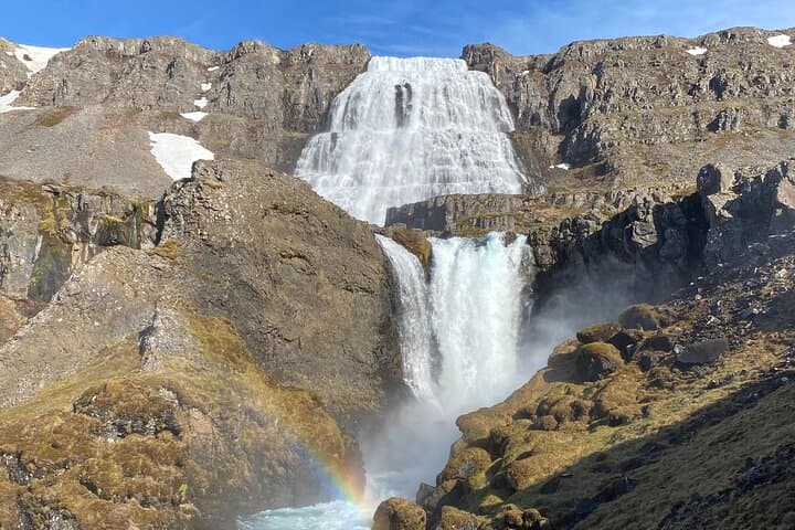  Isafjordur and Westfjords Private Tour