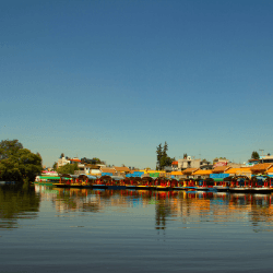 Xochimilco 5 Hour Boat Ride and “UNAM” University Tour