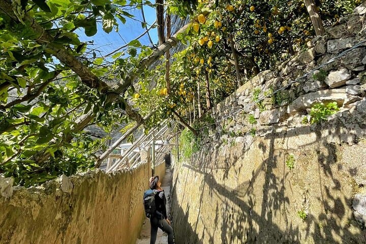 Ravello and Lemon Grove Experience Private Tour from Naples