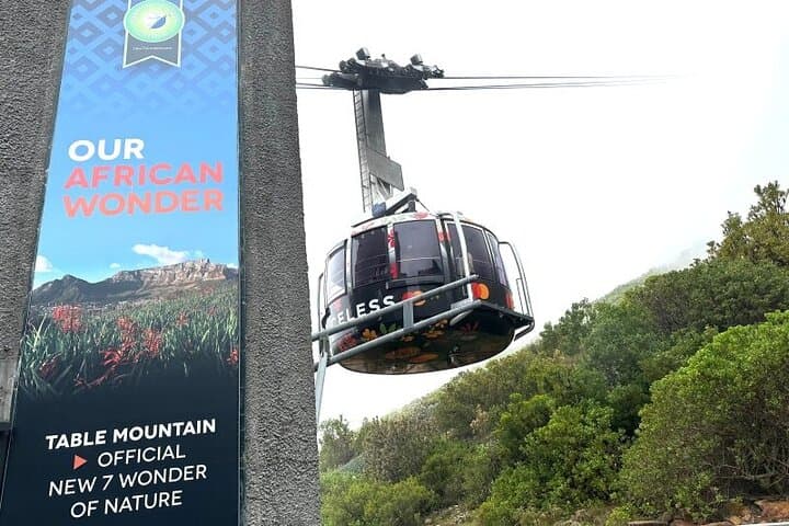 Table Mountain Boulder's Beach and Cape Point