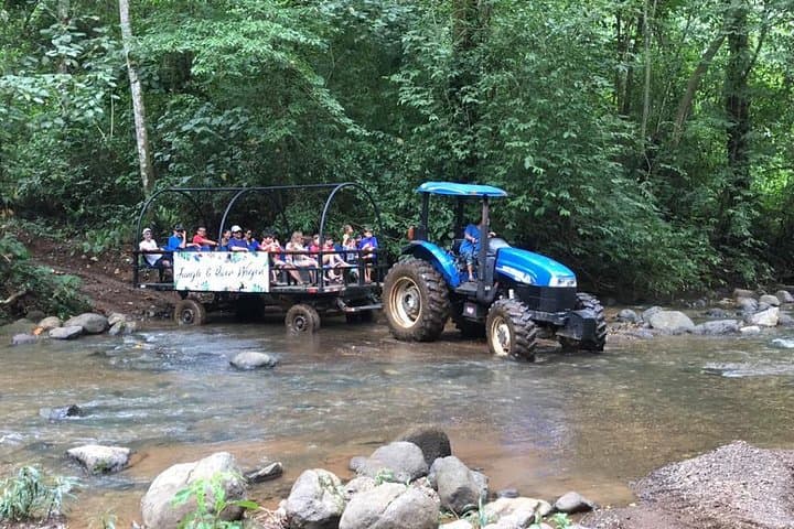 Jungle & River Wagon Expedition. Puntarenas Shore Excursions