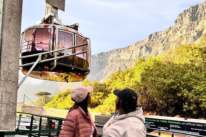 Table Mountain Private Half Day Tour 