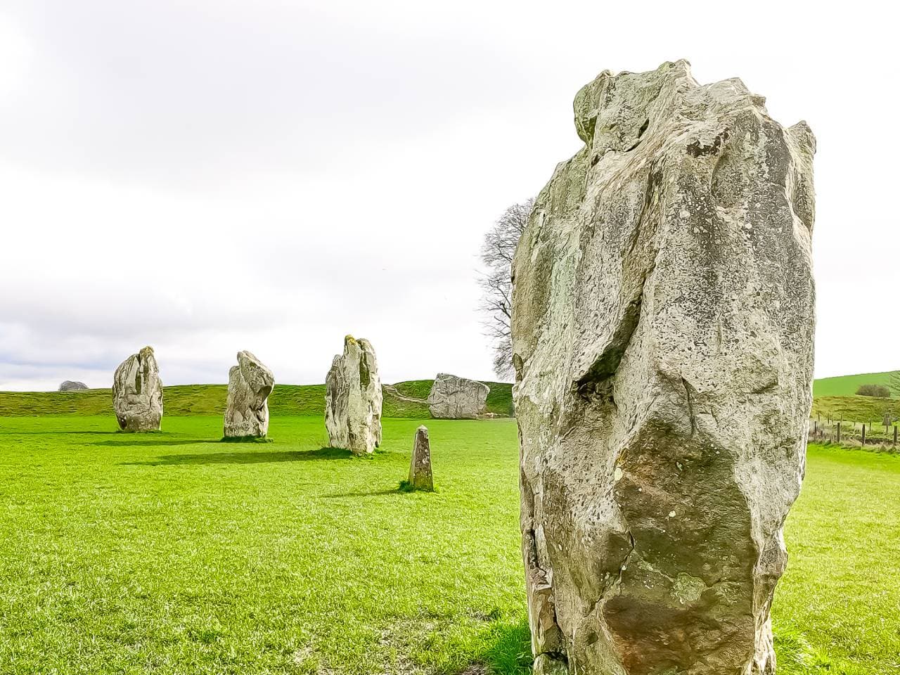 From London: Stonehenge & the Stone Circles of Avebury