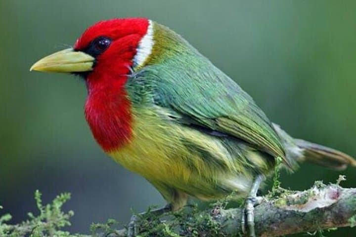 5 Days - Natural Ecuador 