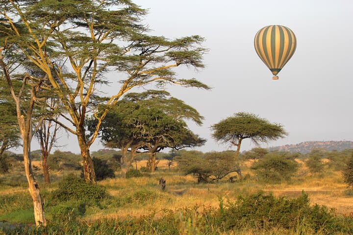 Affordable 3-Day Safari to Serengeti & Ngorongoro Crater