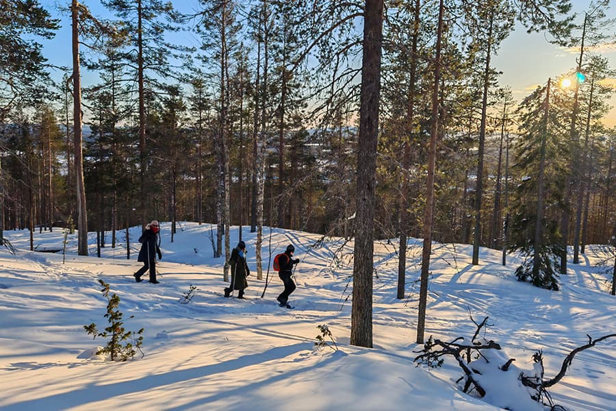 Snowshoeing with a private fireplace, snack, Levi