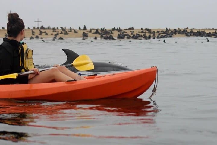 Kayaking and Sandwich Habour Guided Day Tour from Walvis Bay