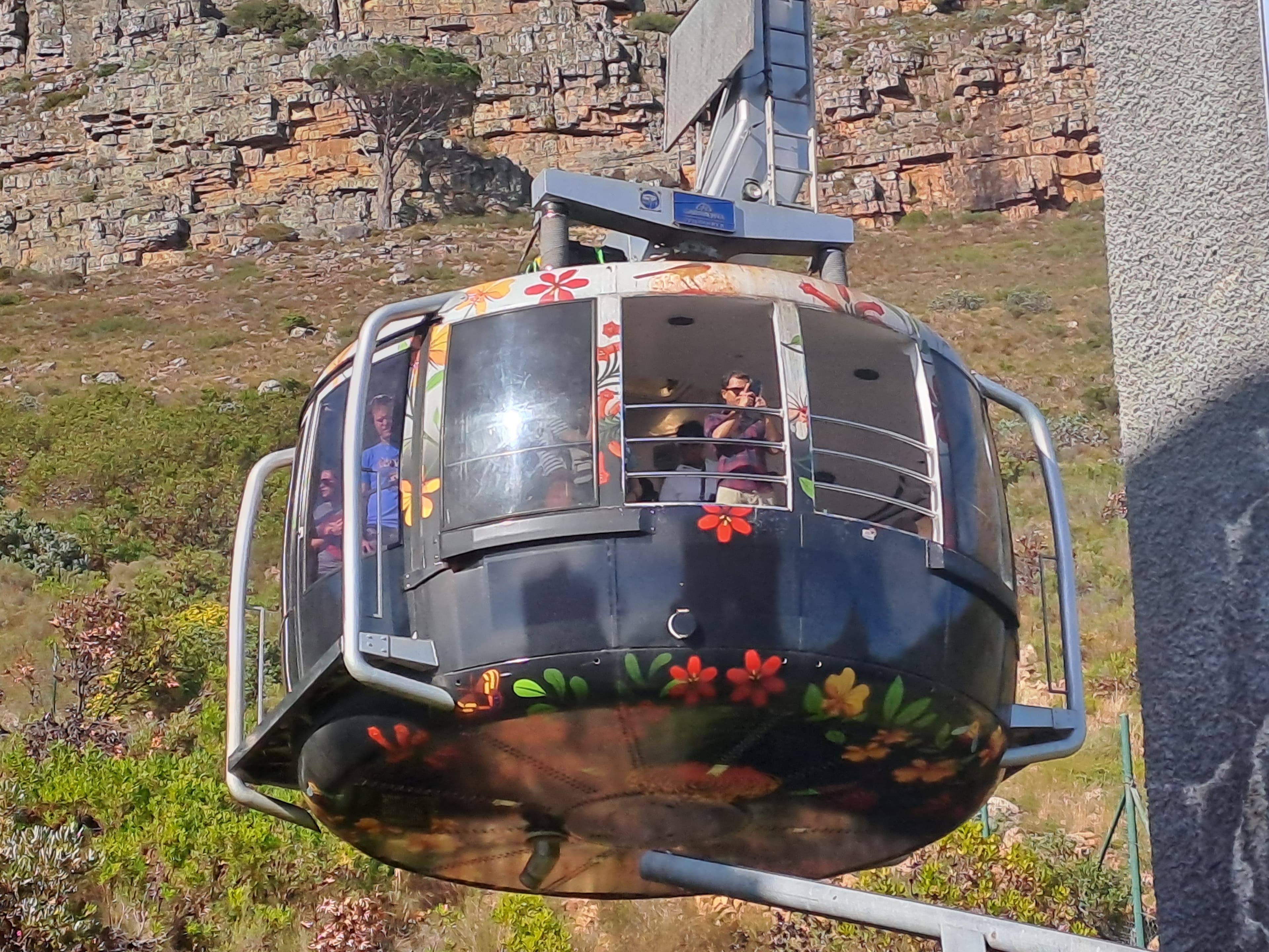 Shared Tour : Table Mountain Cable Car, Penguins Colony, Cape of Good Hope and Cape Point Old Lighthouse Expedition