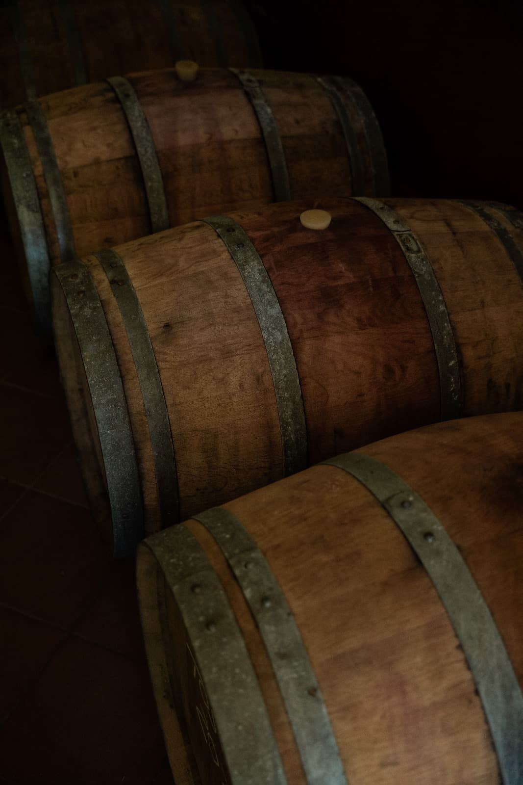 Exquisite Wine Tasting in the Heart of the Tuscan Countryside