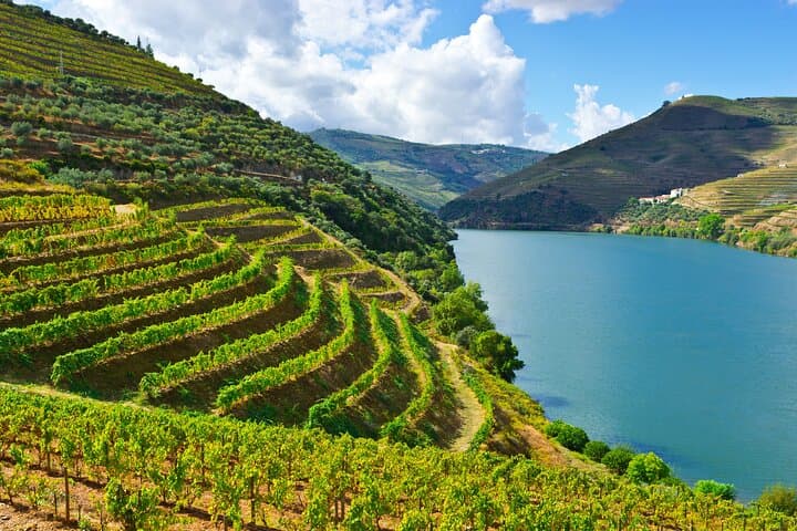 Lisbon to Douro Valley Region Private and Direct Transfer