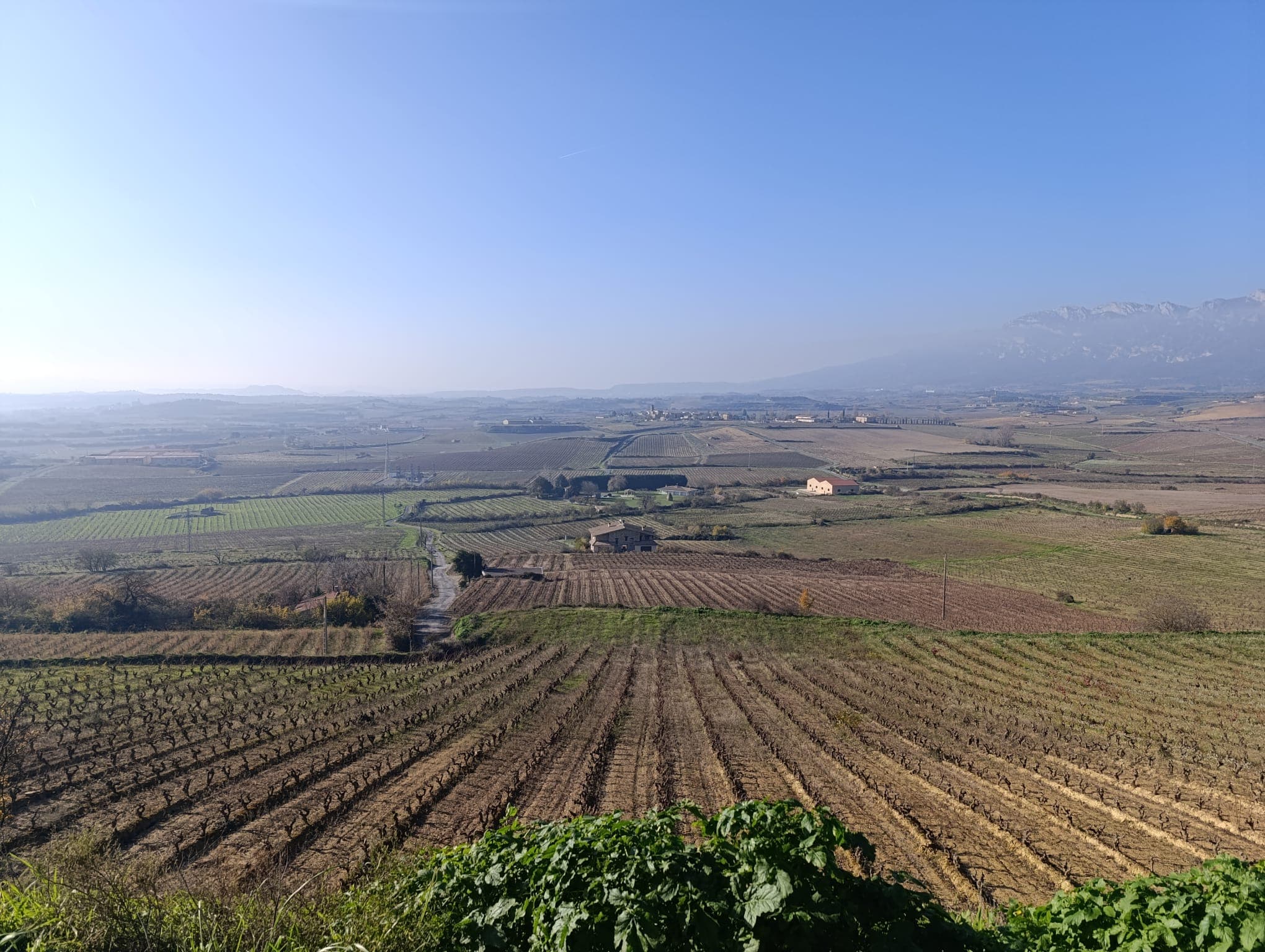 Three Day Rioja Wine Experience
