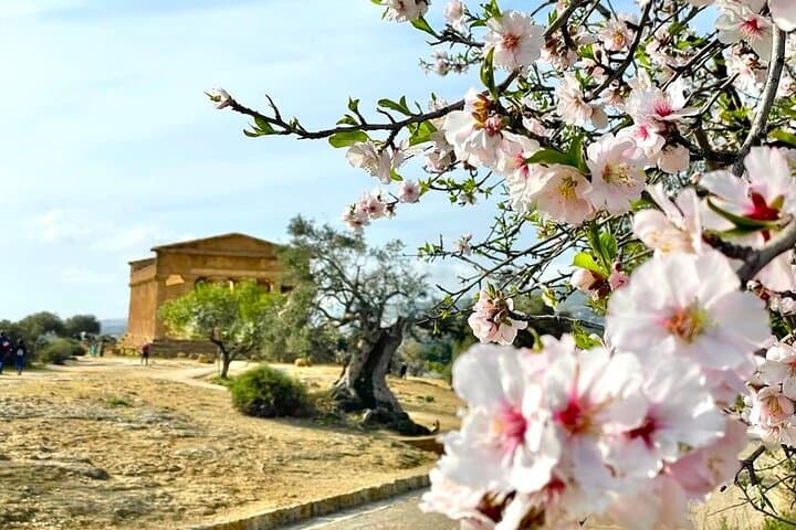 Pozzallo Agrigento and the Valley of the Temples