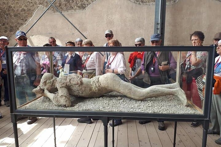 POMPEI RUINS guided tour with Transfer Service (ita/ spa/ engl/ french)