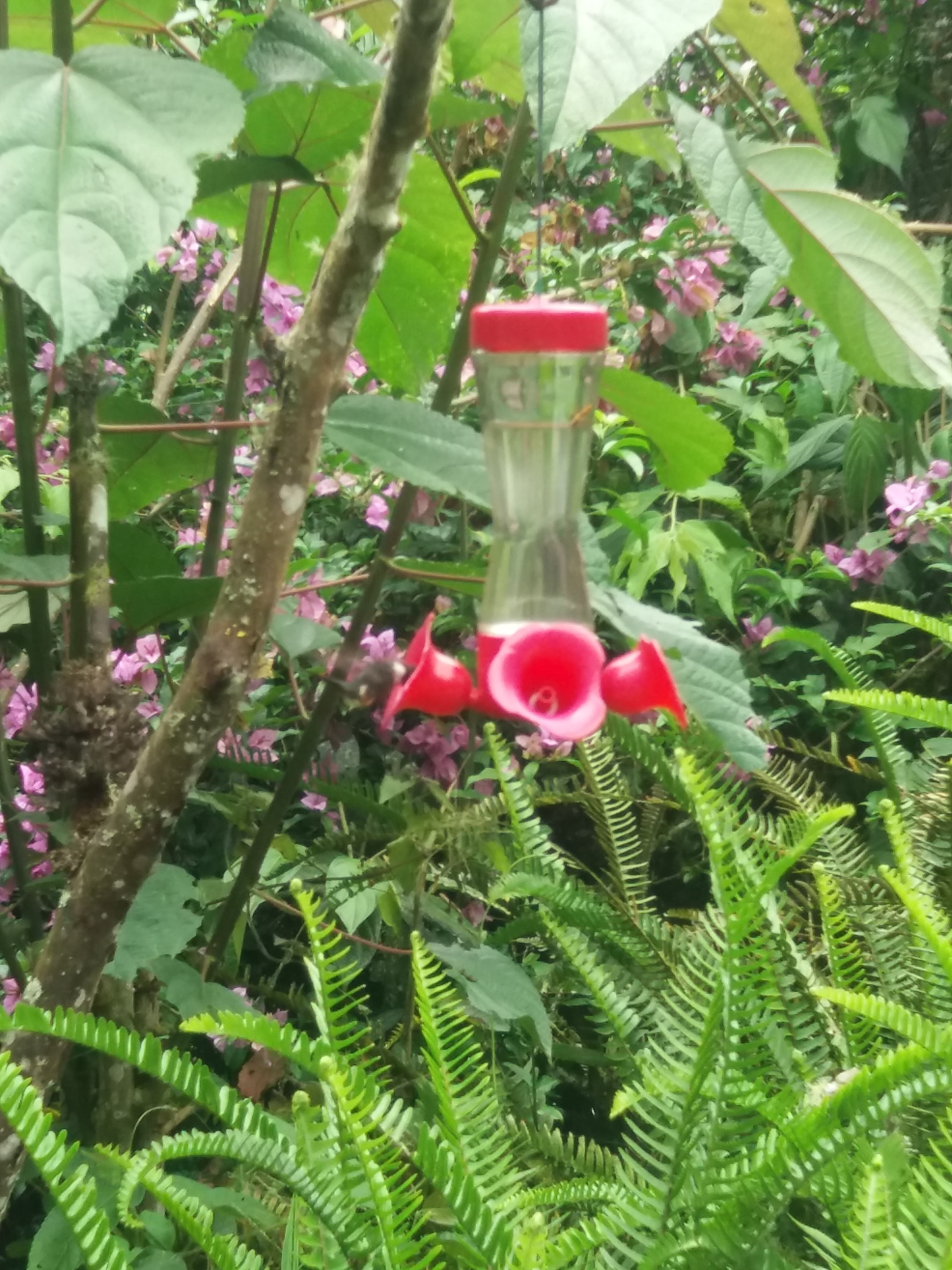 Private Tour to the Hummingbird Reserve and visit to the Middle of the World from Quito (16 nov 2025)