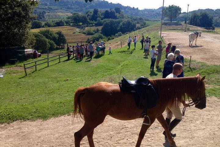 Wine Tasting and Horseback Riding in Tuscany from Rome