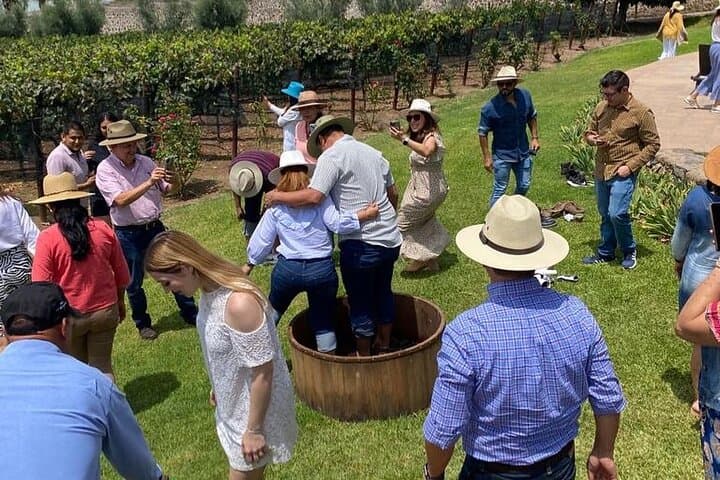 Private Tour to Finca Estramancia Vineyard and the Chapala Riviera