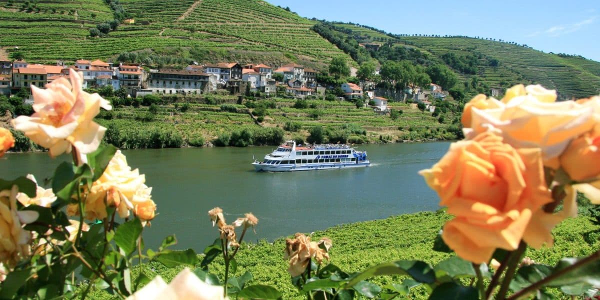 Douro Valley Cruise from Porto to Régua with Breakfast and Lunch