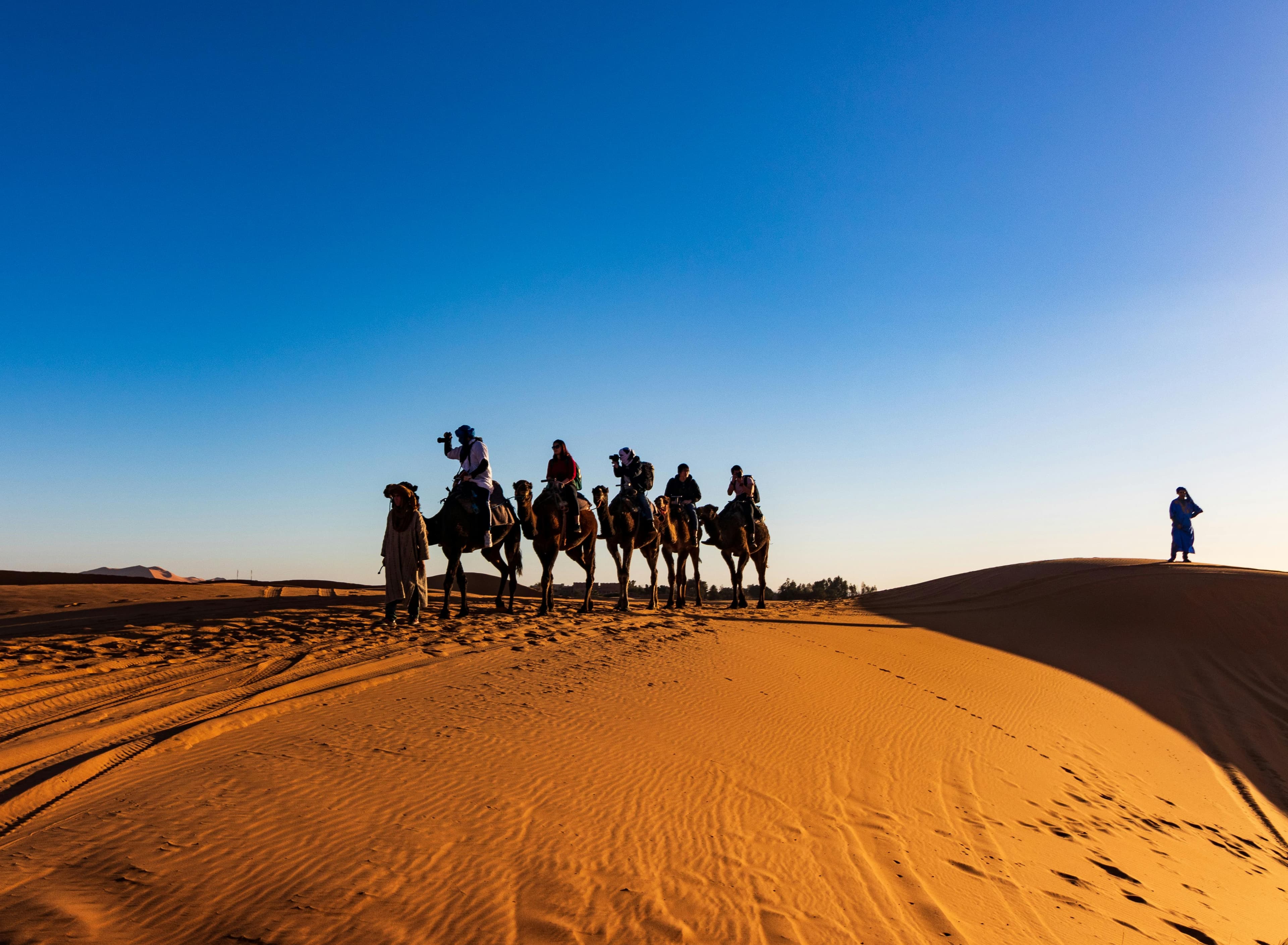 Immersive Morocco Tour : From Atlas to Sahara 
